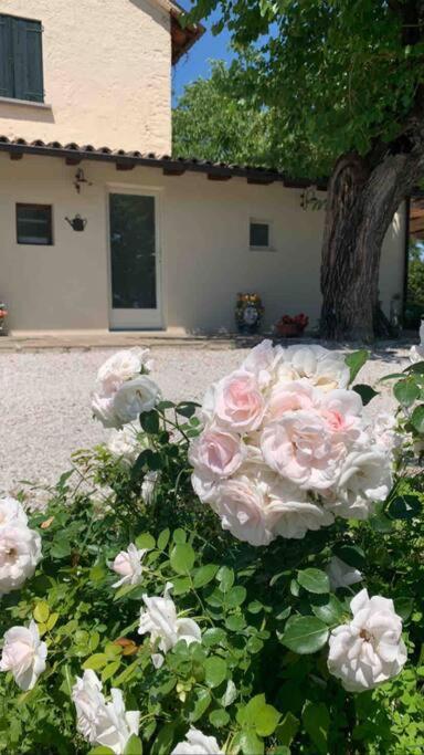 Casa Bellona Montebelluna Exteriér fotografie